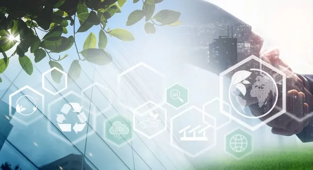 Why Bigger Ships Aren't Always Better for Global Transportation ALT sustainability and business