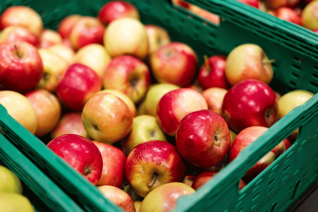 How The Autumn Harvest Shapes Shipping Strategies apples in a green plastic carton